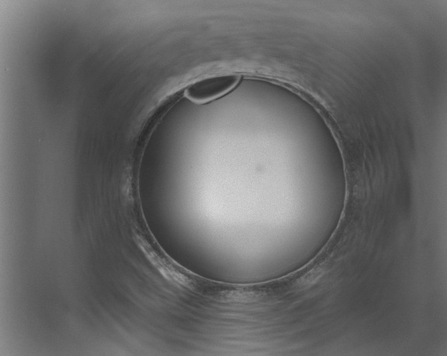 X0000073931499200608251601