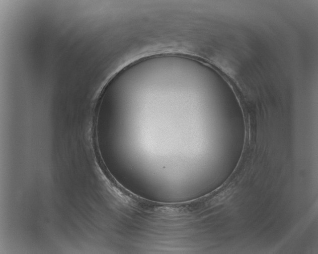 X0000073931500200608251602