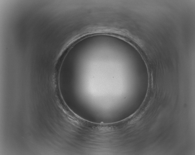 X0000073931501200608251602