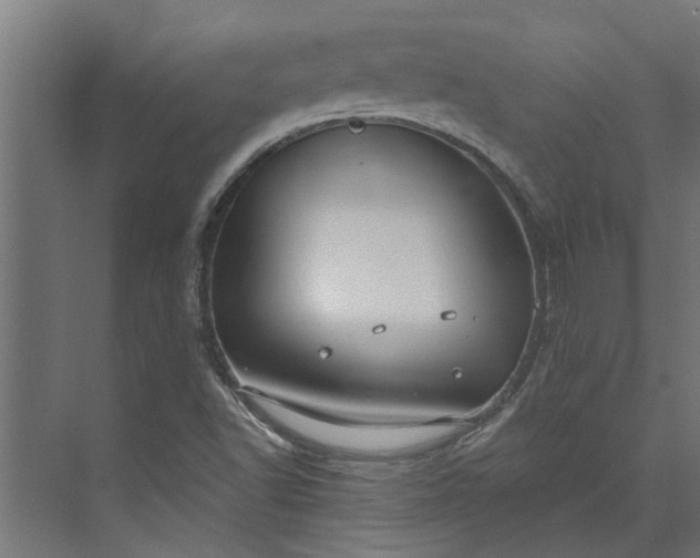 X0000073931502200608251602