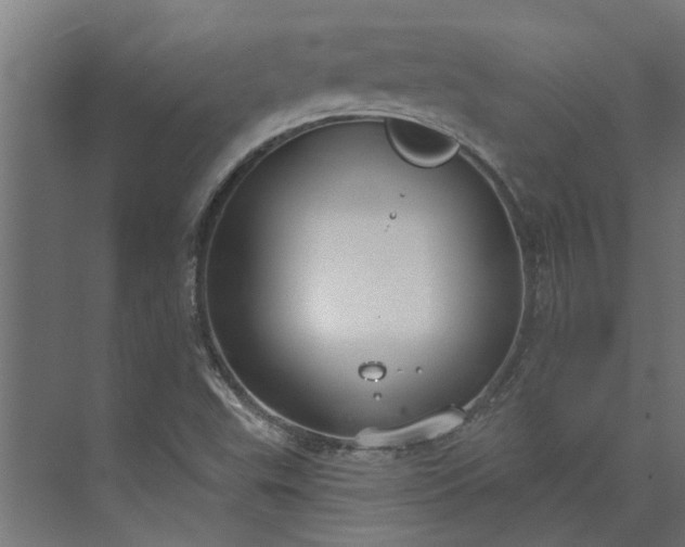 X0000073931503200608251602