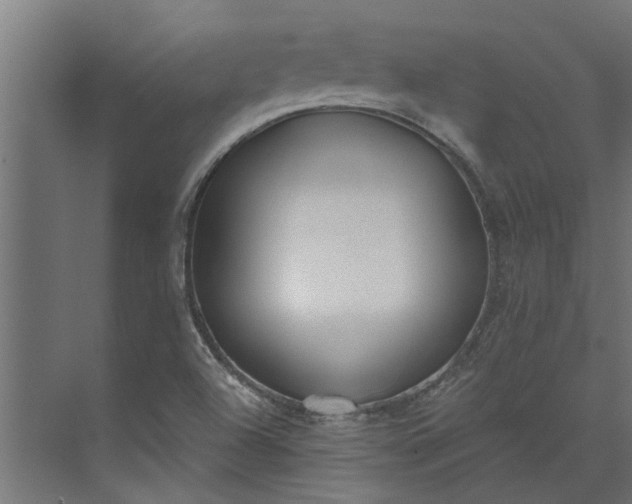 X0000073931504200608251602