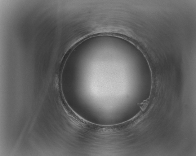 X0000073931505200608251602