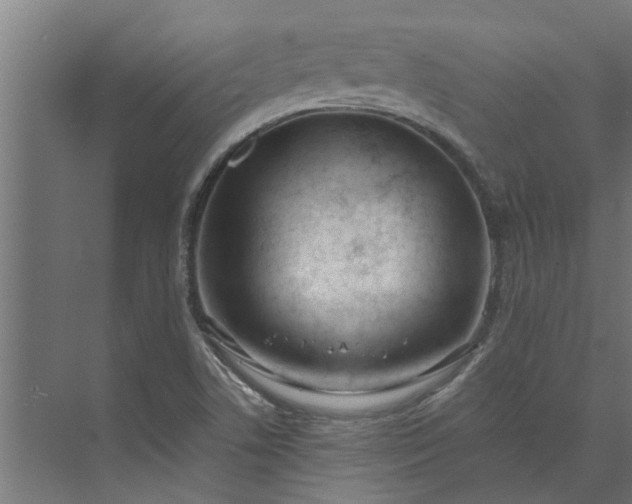 X0000073931506200608251602