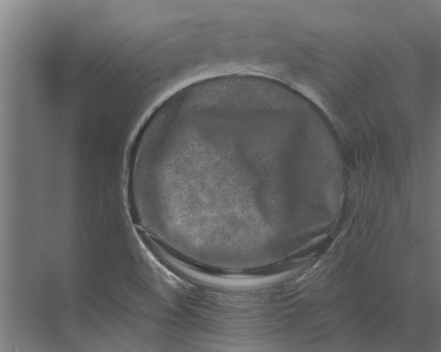 X0000073931508200608251602