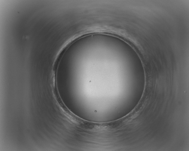 X0000073931509200608251602