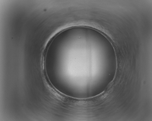 X0000073931510200608251602