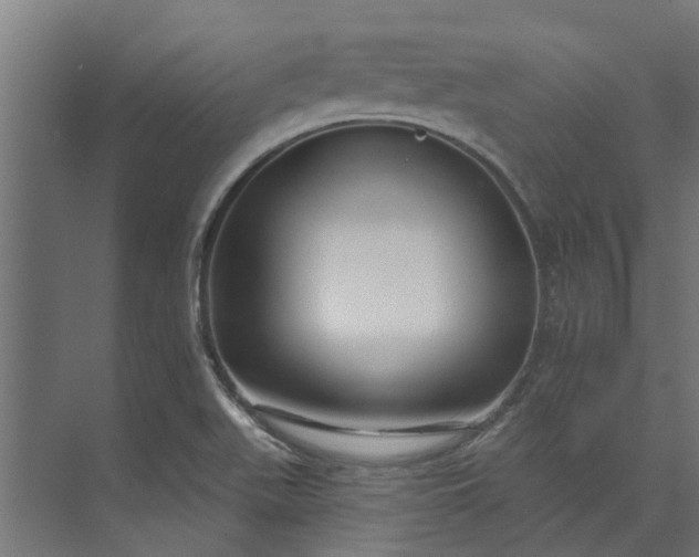 X0000073931511200608251602