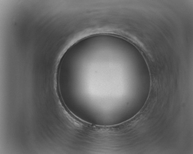 X0000073931512200608251602