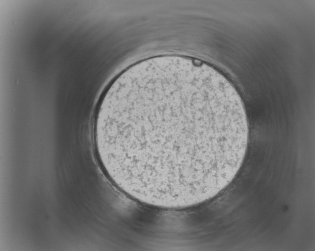 X0000073931514200608251602