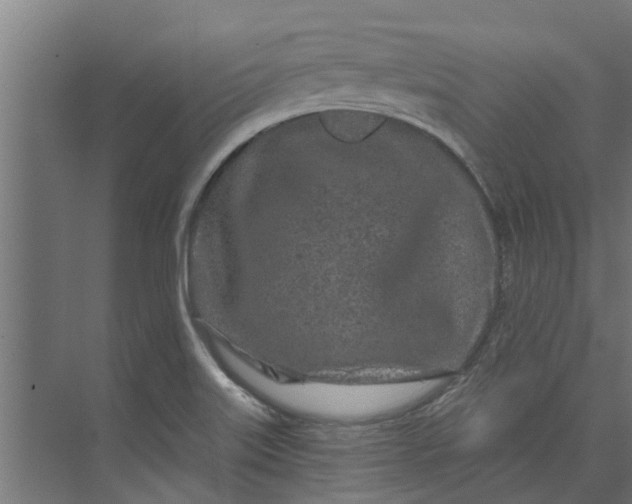 X0000073931515200608251602