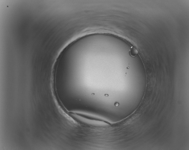 X0000073931518200608251602