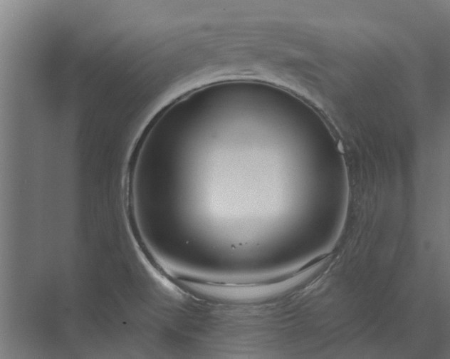 X0000073931519200608251602