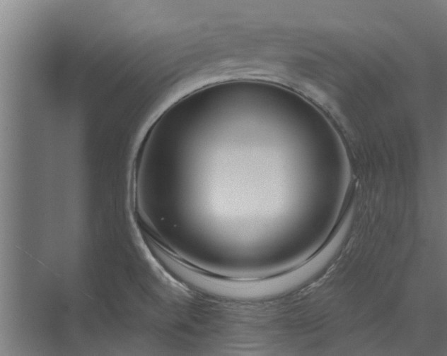 X0000073931520200608251602