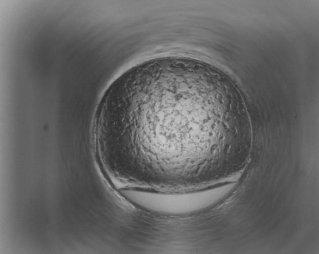 X0000073931522200608251602