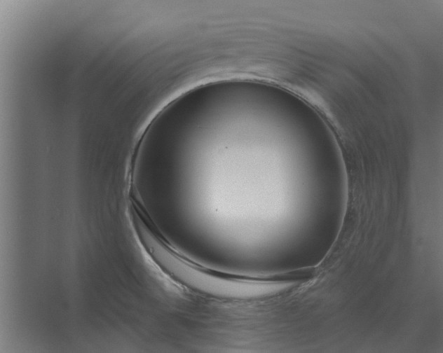 X0000073931524200608251602