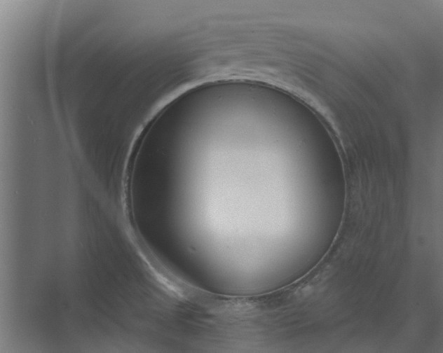 X0000073931525200608251602