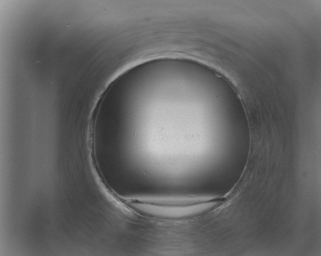 X0000073931526200608251602