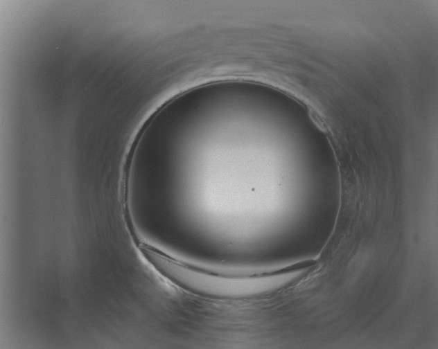 X0000073931527200608251602