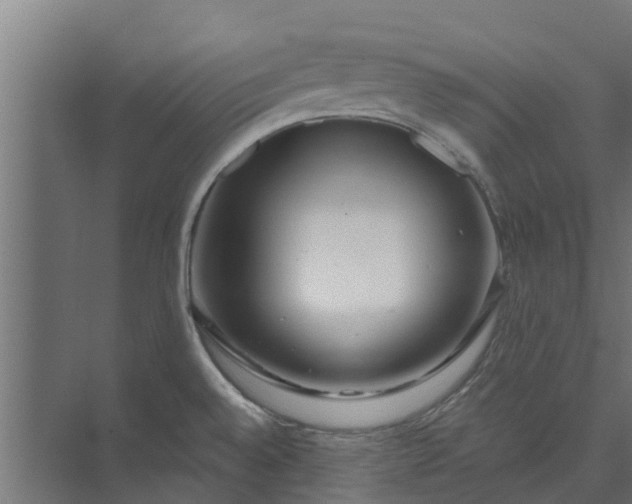 X0000073931528200608251602