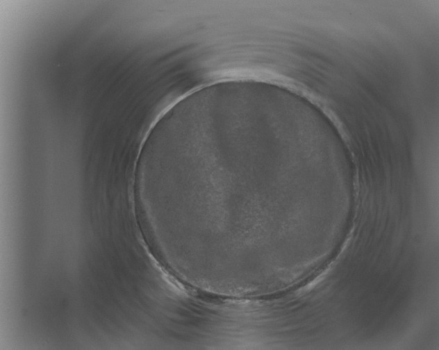 X0000073931529200608251602