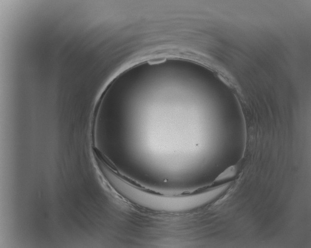 X0000073931530200608251602