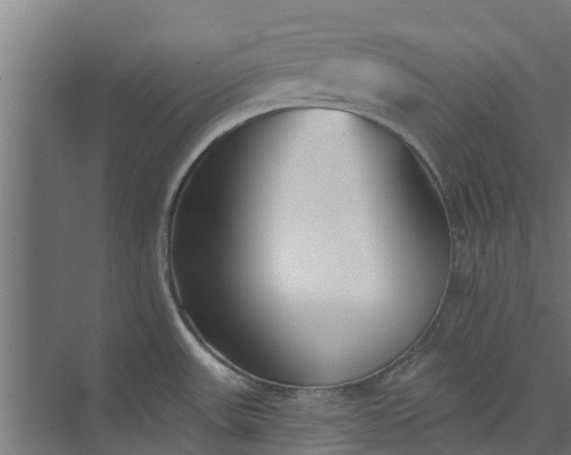 X0000073931531200608251602