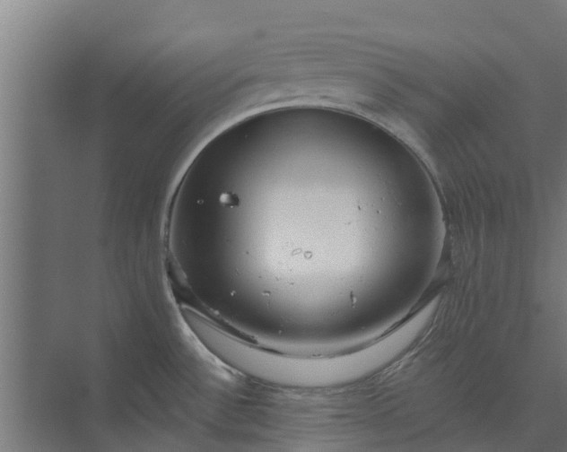 X0000073931532200608251602