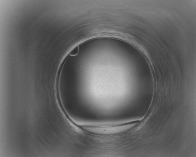 X0000073931533200608251602