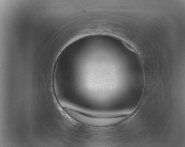 X0000073931534200608251602