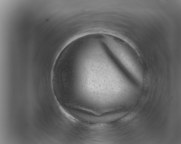 X0000073931535200608251602