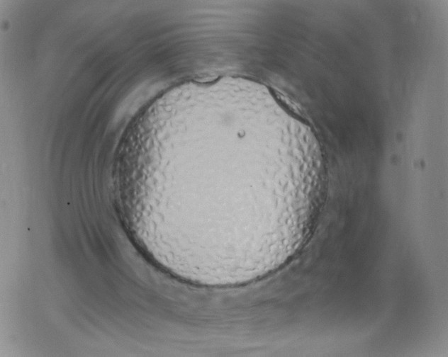 X0000073930002200609011846