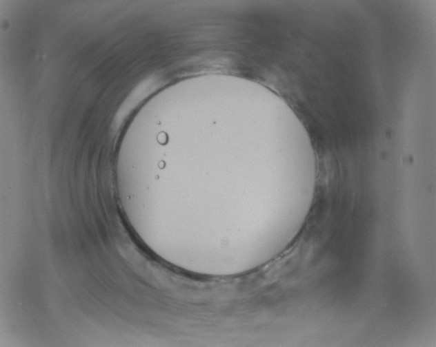 X0000073930004200609011846