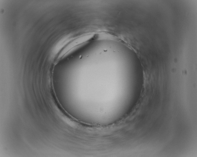 X0000073930005200609011846