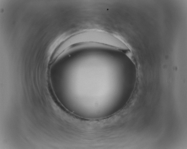 X0000073930007200609011846