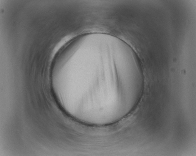 X0000073930008200609011846