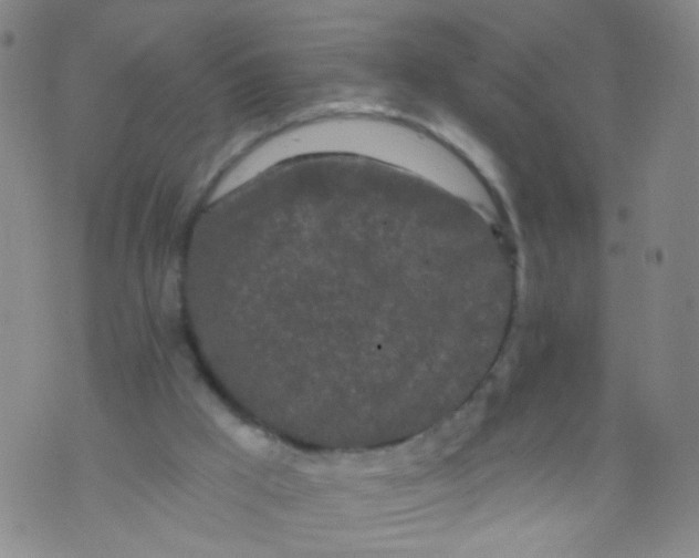 X0000073930009200609011846