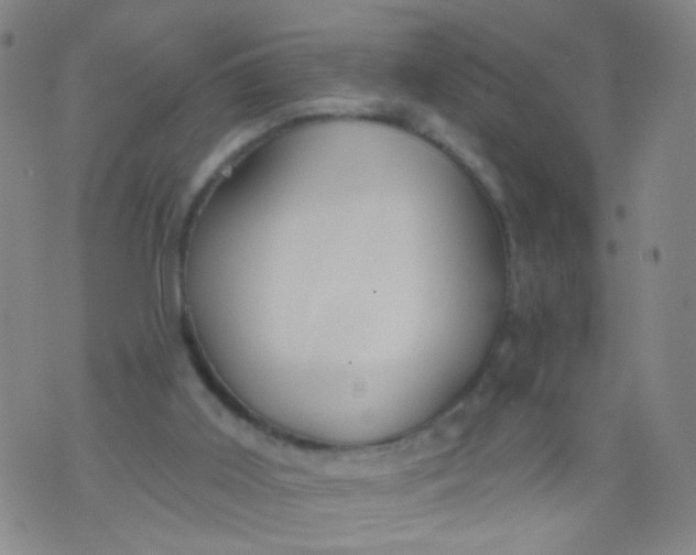 X0000073930011200609011846