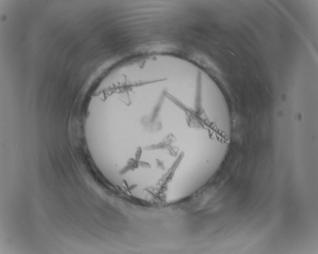 X0000073930012200609011846