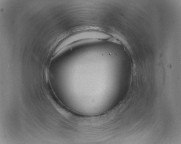 X0000073930013200609011846