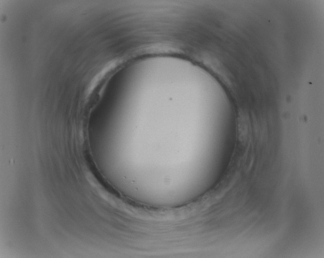 X0000073930015200609011846