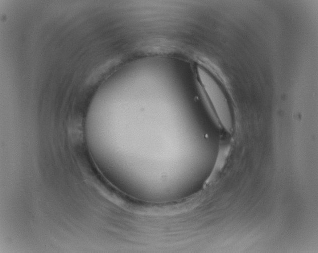 X0000073930017200609011846