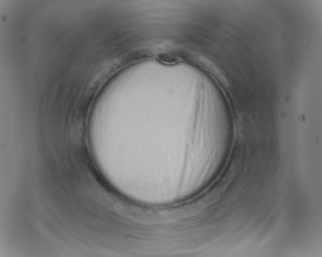 X0000073930018200609011846