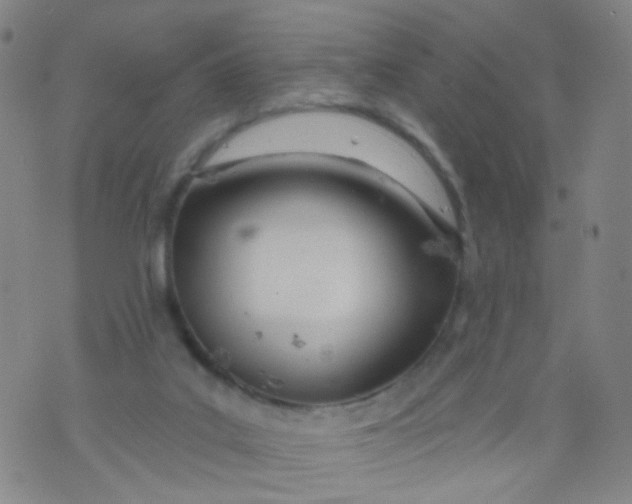 X0000073930019200609011846