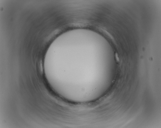 X0000073930020200609011846