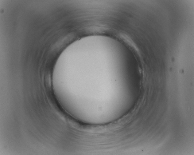 X0000073930021200609011846