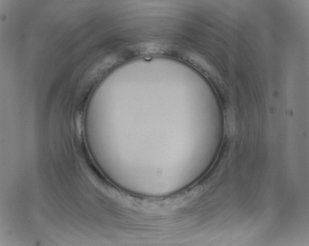 X0000073930022200609011846