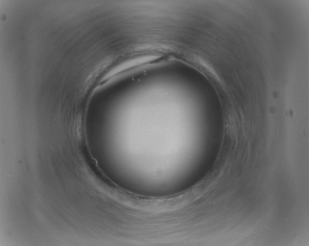 X0000073930023200609011846