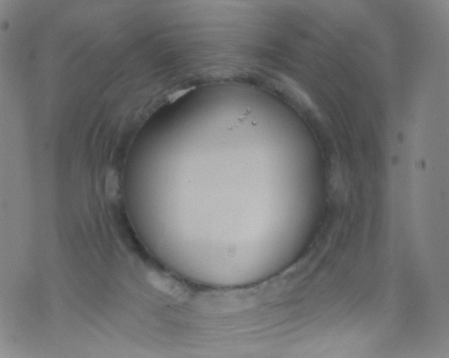 X0000073930025200609011846