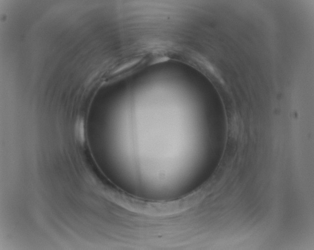 X0000073930027200609011845